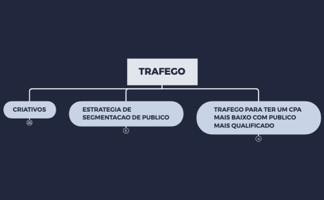 TRAFEGO