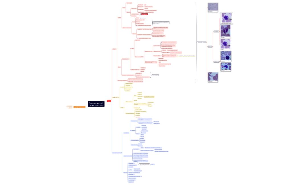 Ткани внутренней среды организма