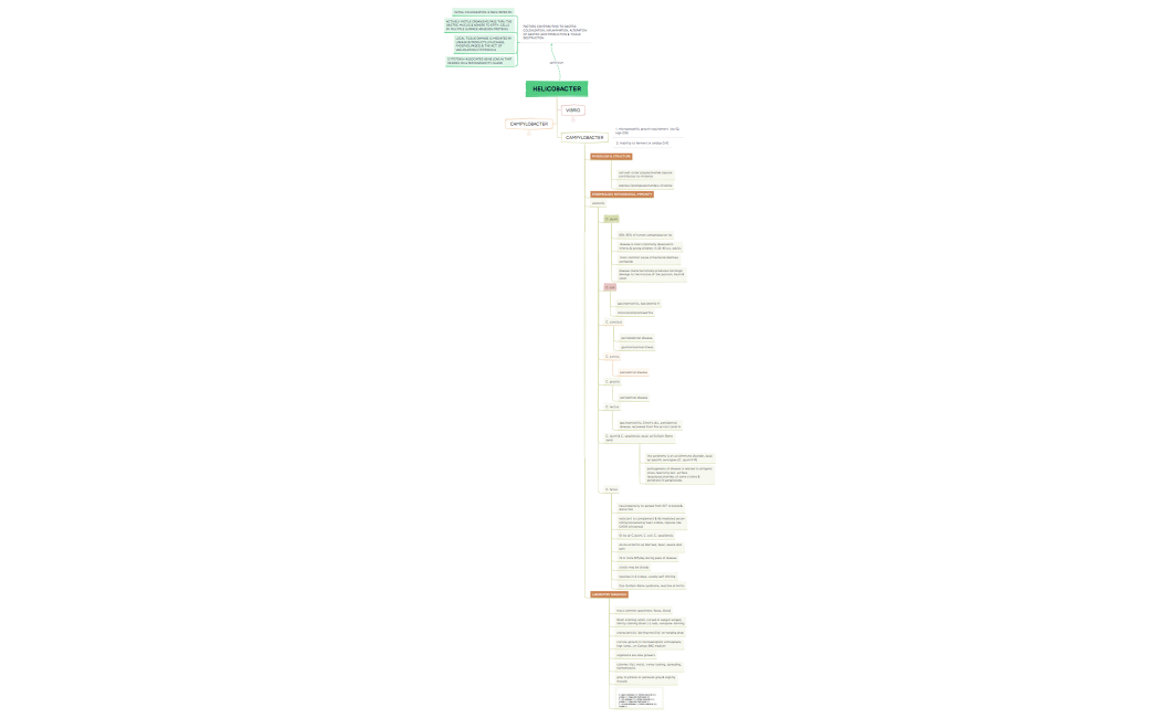 HELICOBACTER.xmind