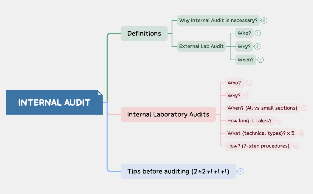 BMS4001 L3_Internal Audit
