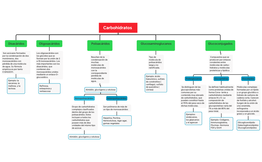 Carbohidratos UDEM 