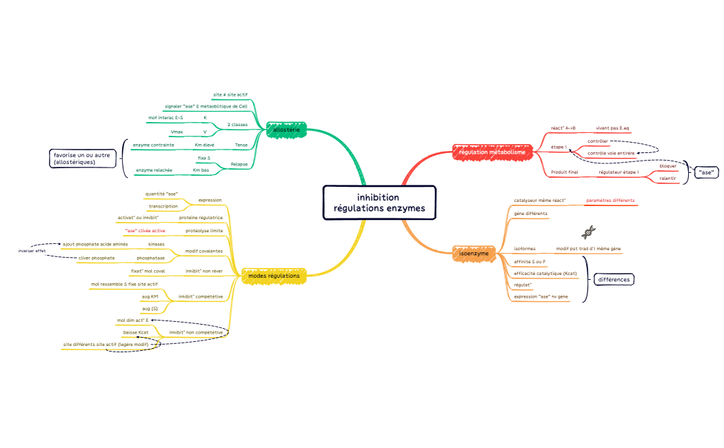 inhibition régulations enzymes