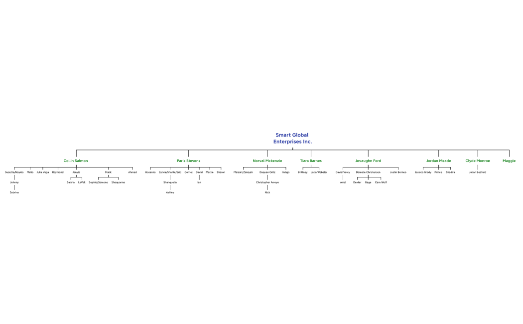 Smart Global Enterprises Inc.