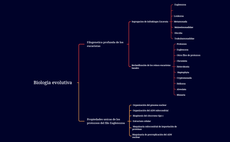Biologia evolutiva.xmind
