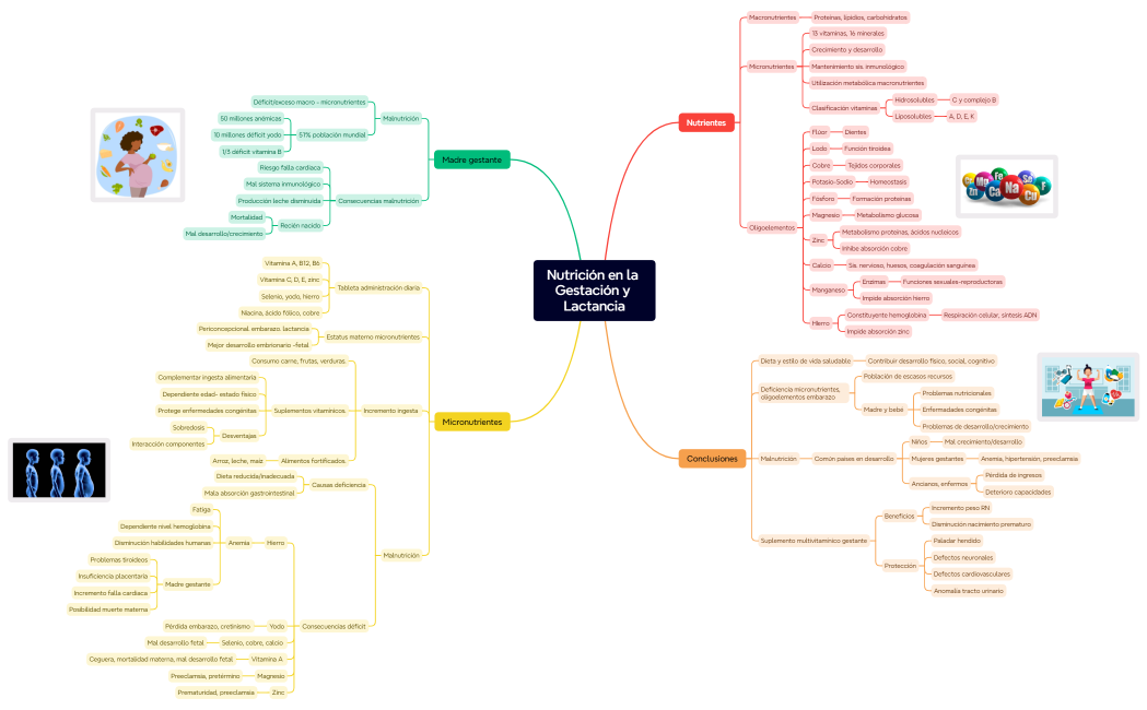 Nutrición en la Gestación y Lactancia