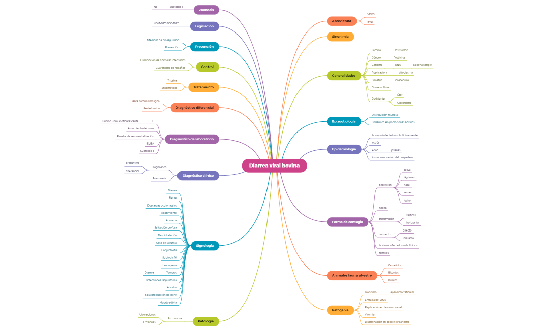 Diarrea viral bovina.xmind