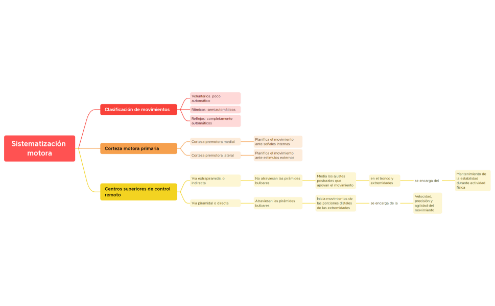Sistematización motora