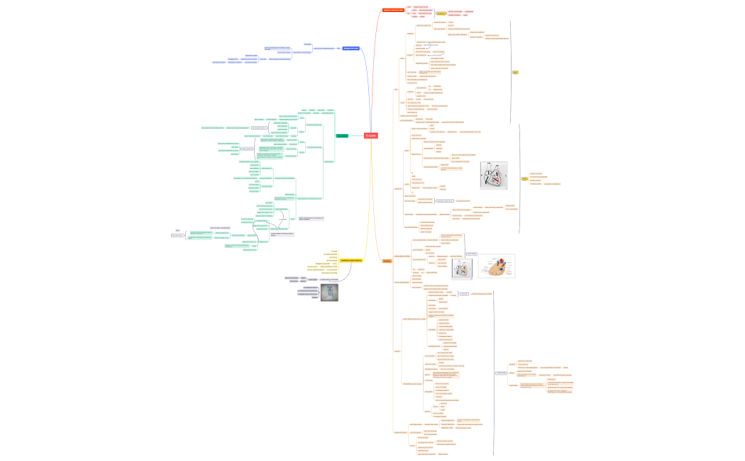 Il cuore.xmind
