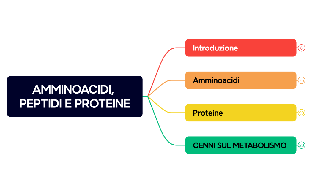 AMMINOACIDI, PEPTIDI E PROTEINE