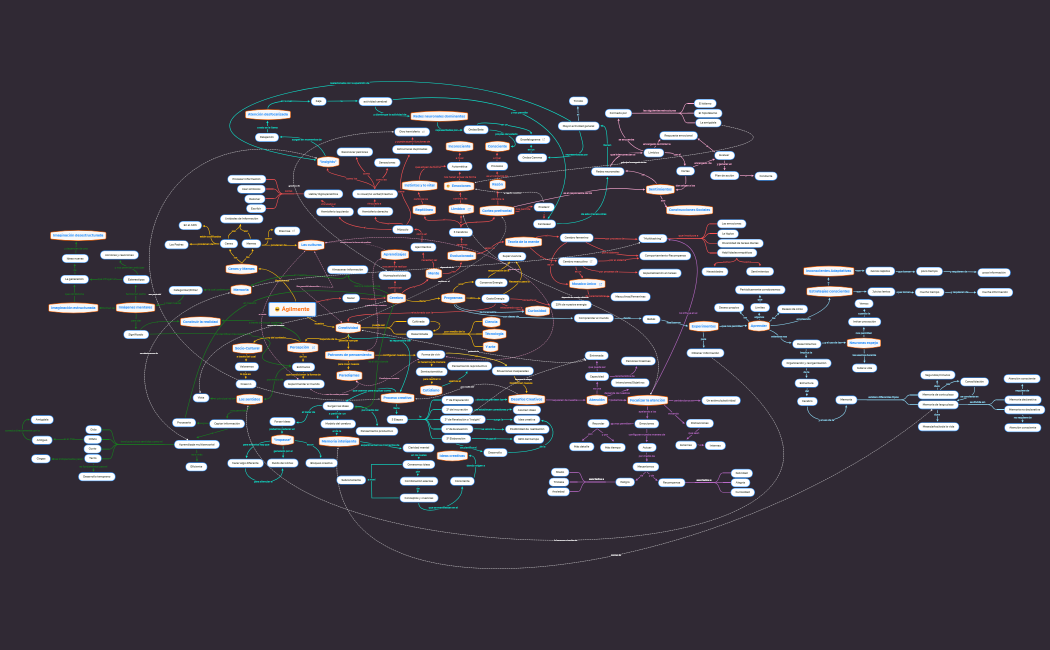 Viqueira -EDI - red conceptual para final