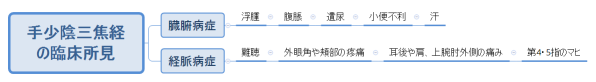 手少陰三焦経 の臨床所見