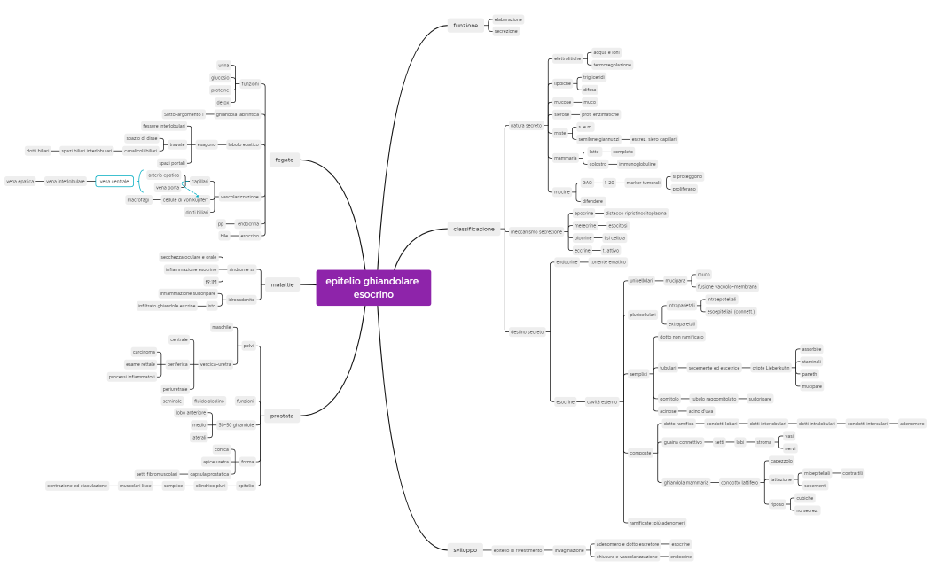 epitelio ghiandolare esocrino