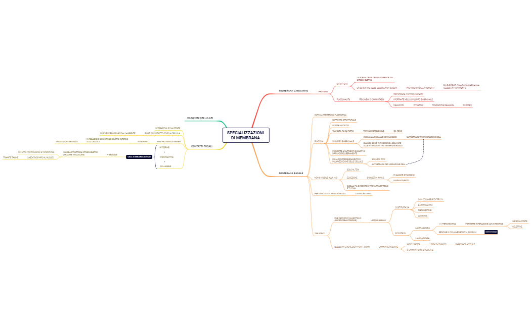 SPECIALIZZAZIONI DI MEMBRANA 