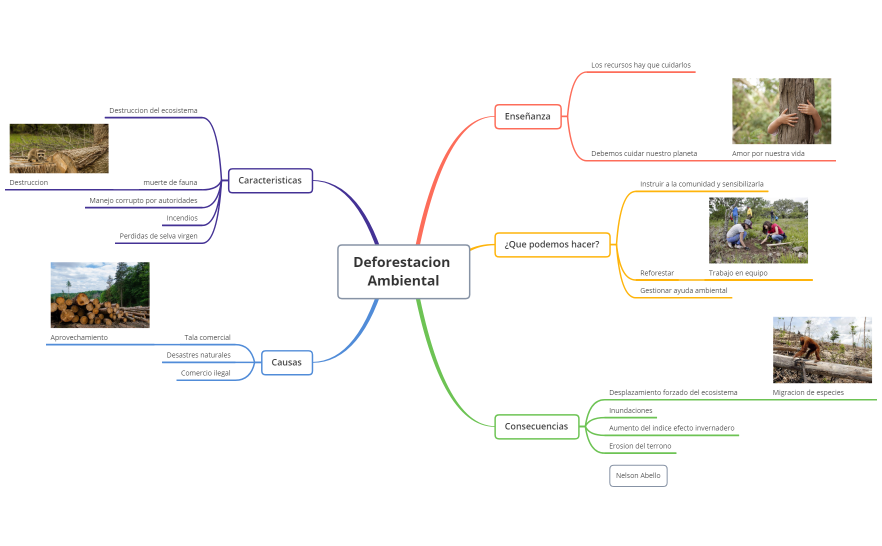 Deforestacion ambiental