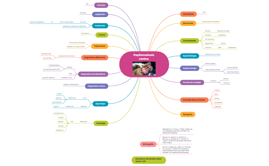 Papilomatosis canina .xmind