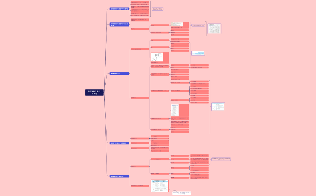 지적장애의 원인 및 예방