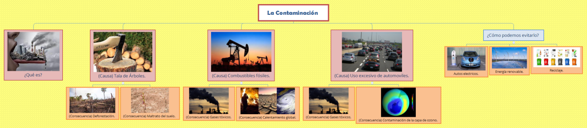 La Contaminación 