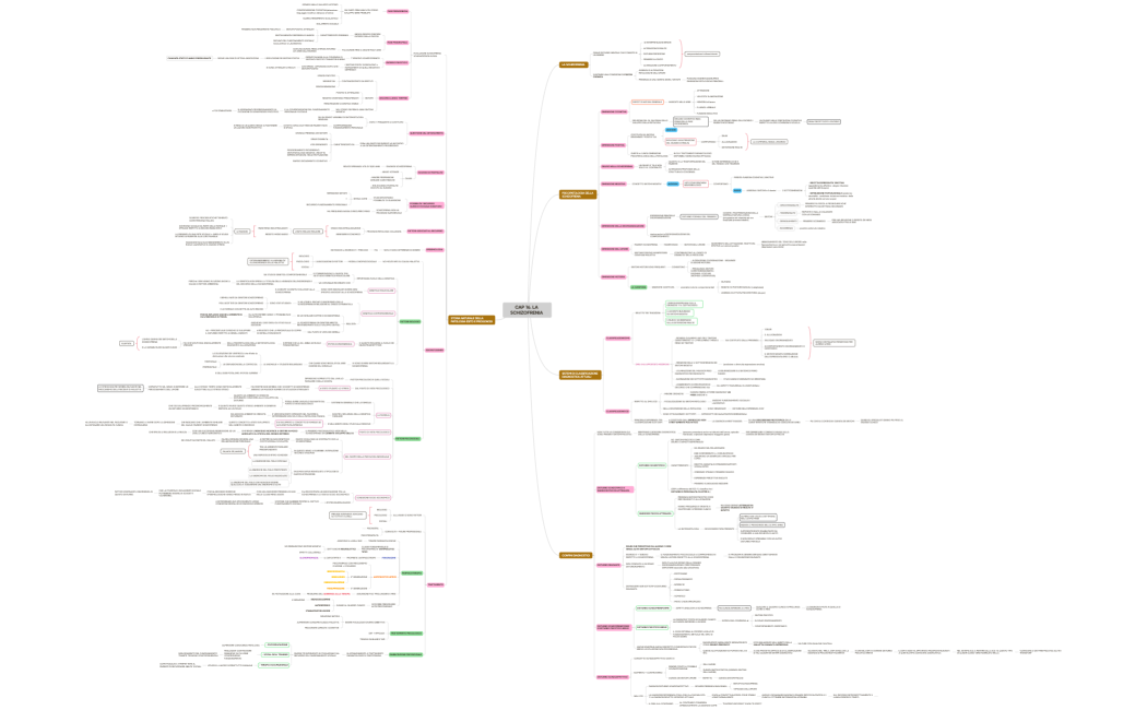 CAP 16. LA SCHIZOFRENIA 