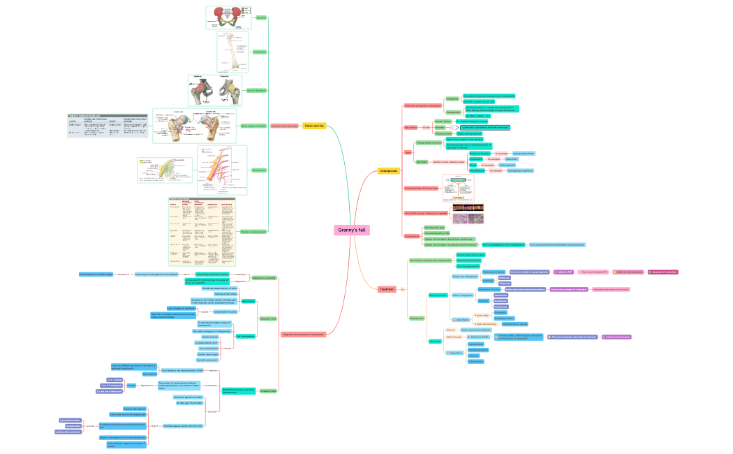 Grannys_fall1-sWf4QW-7SYtSsR-86064