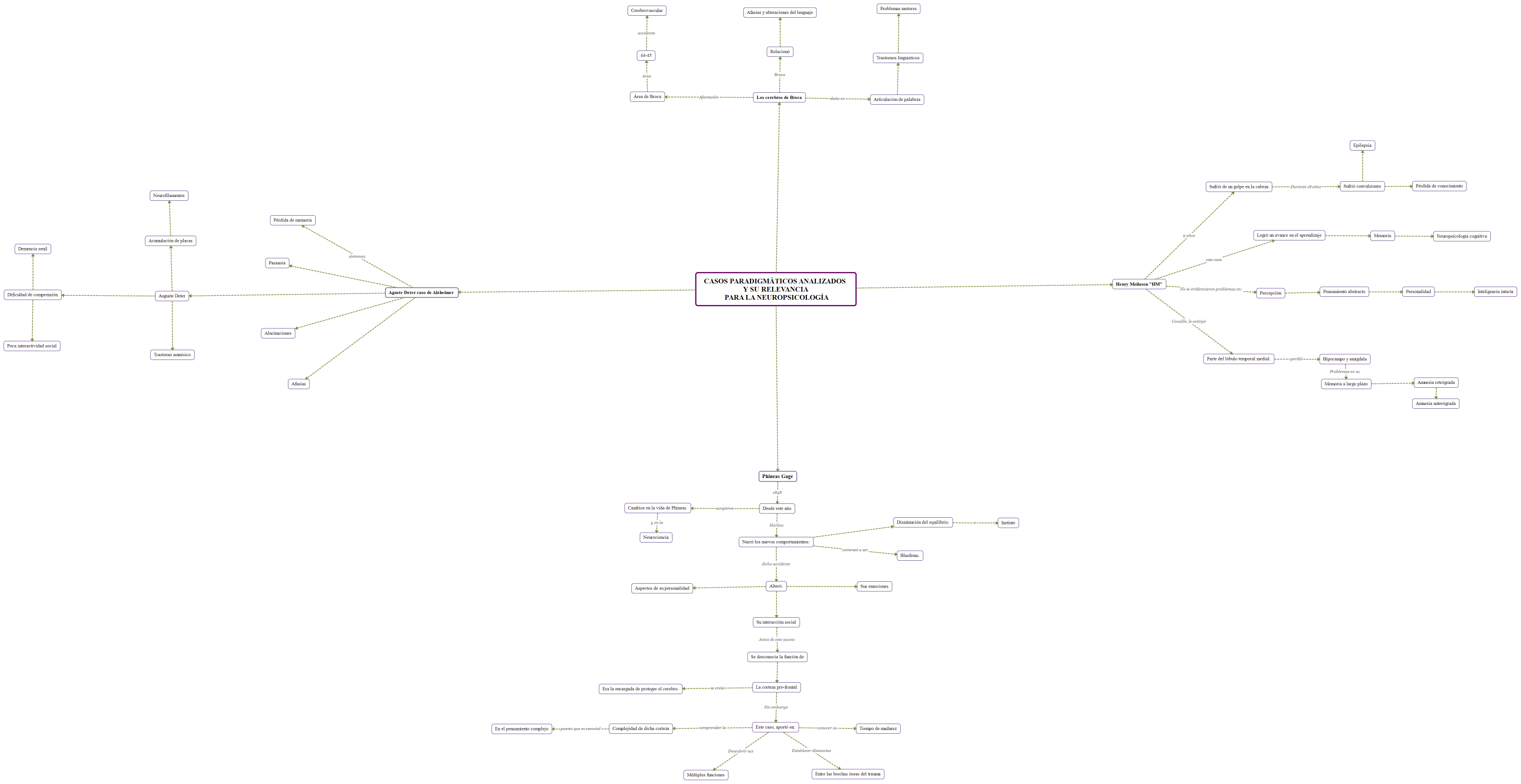 CASOS PARADIGMÁTICOS ANALIZADOS Y SU RELEVANCIA  PARA LA NEUROPSICOLOGÍA