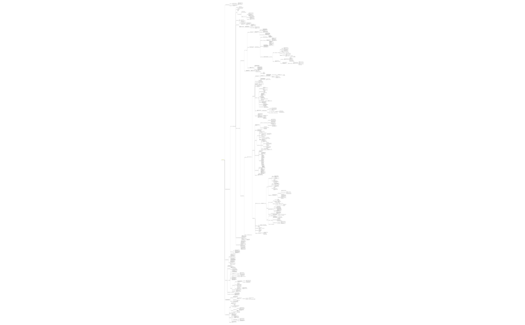 MAPA CONCEPTUAL INTEGRADOR