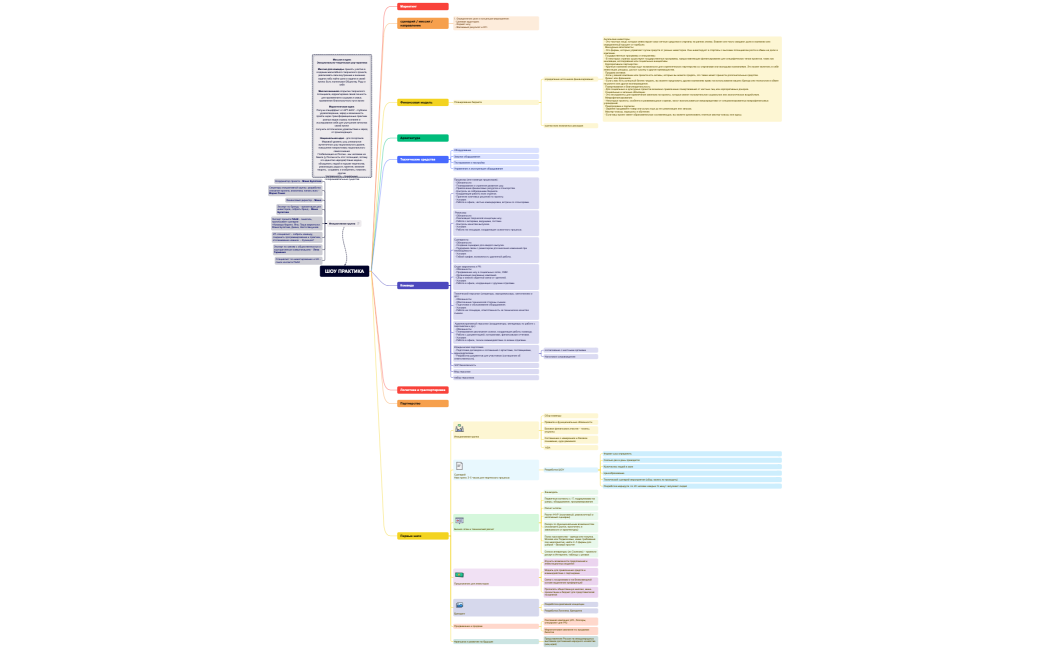 ШОУ ПРАКТИКА