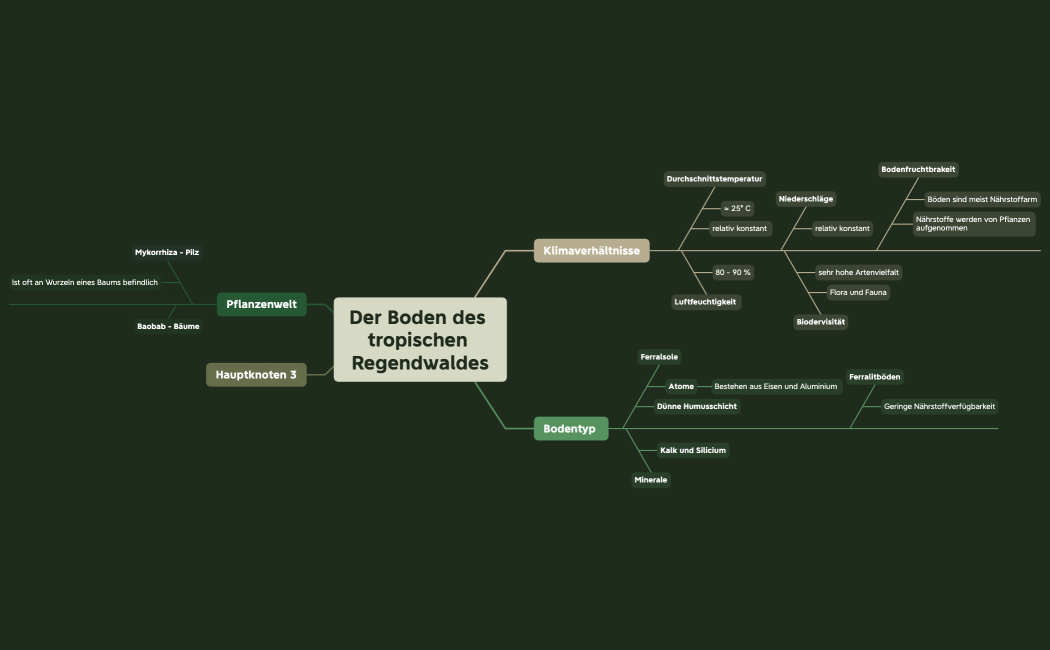 Der Boden des tropischen Regendwaldes