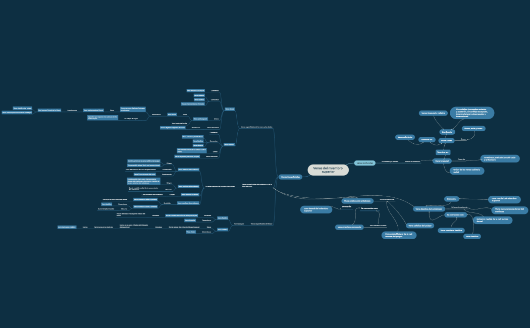 Venas del miembro superior