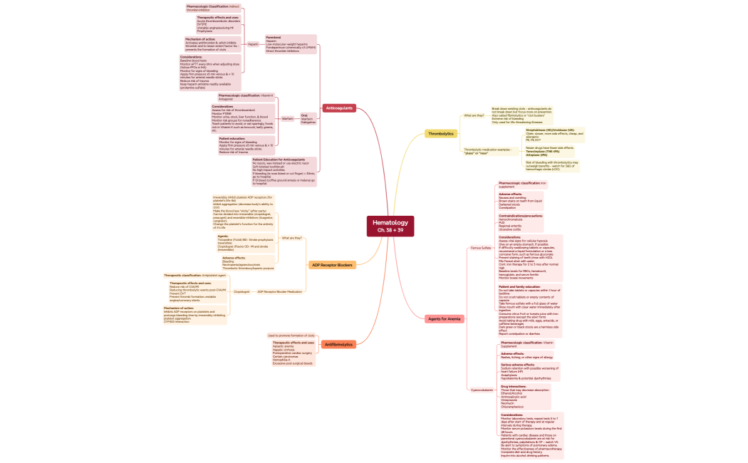 Mind Map