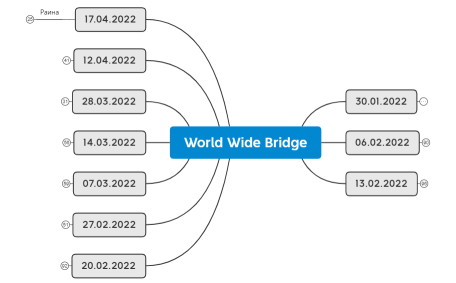 World Wide Bridge