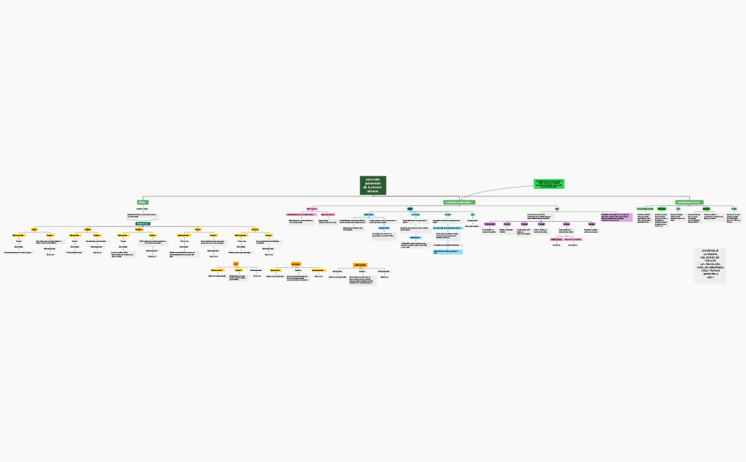 Desarrollo psicomotor  de la primera infancia.