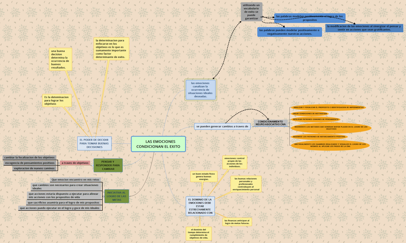      LAS EMOCIONES CONDICIONAN EL EXITO