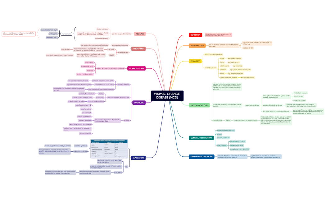 MINIMAL CHANGE DISEASE (MCD)