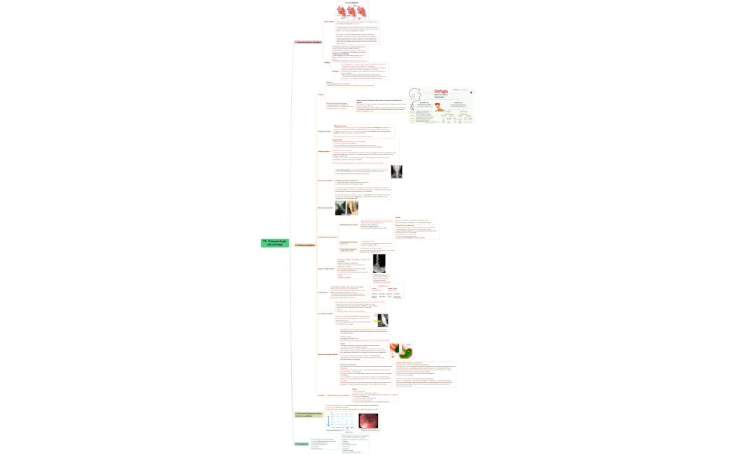 T2  Fisiopatología del esófago