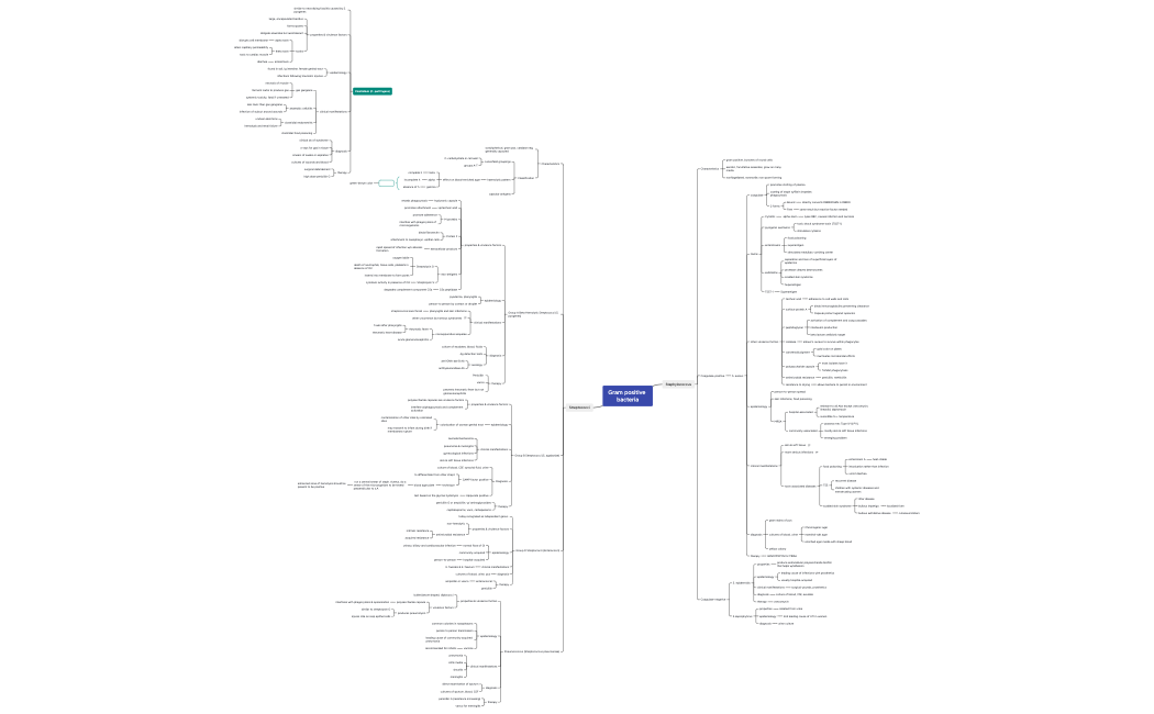 Gram positive bacteria