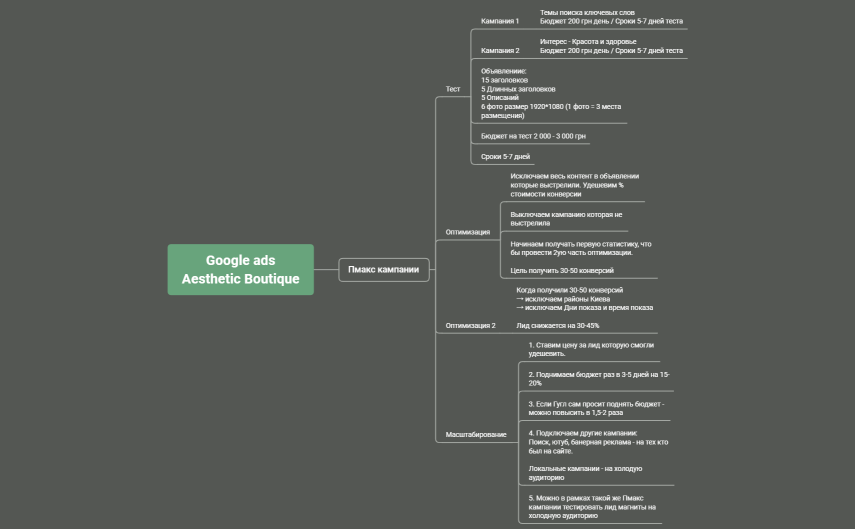 Google ads Aesthetic Boutique