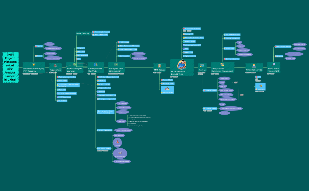 PMP(Project Management of new Product launch in China) rB
