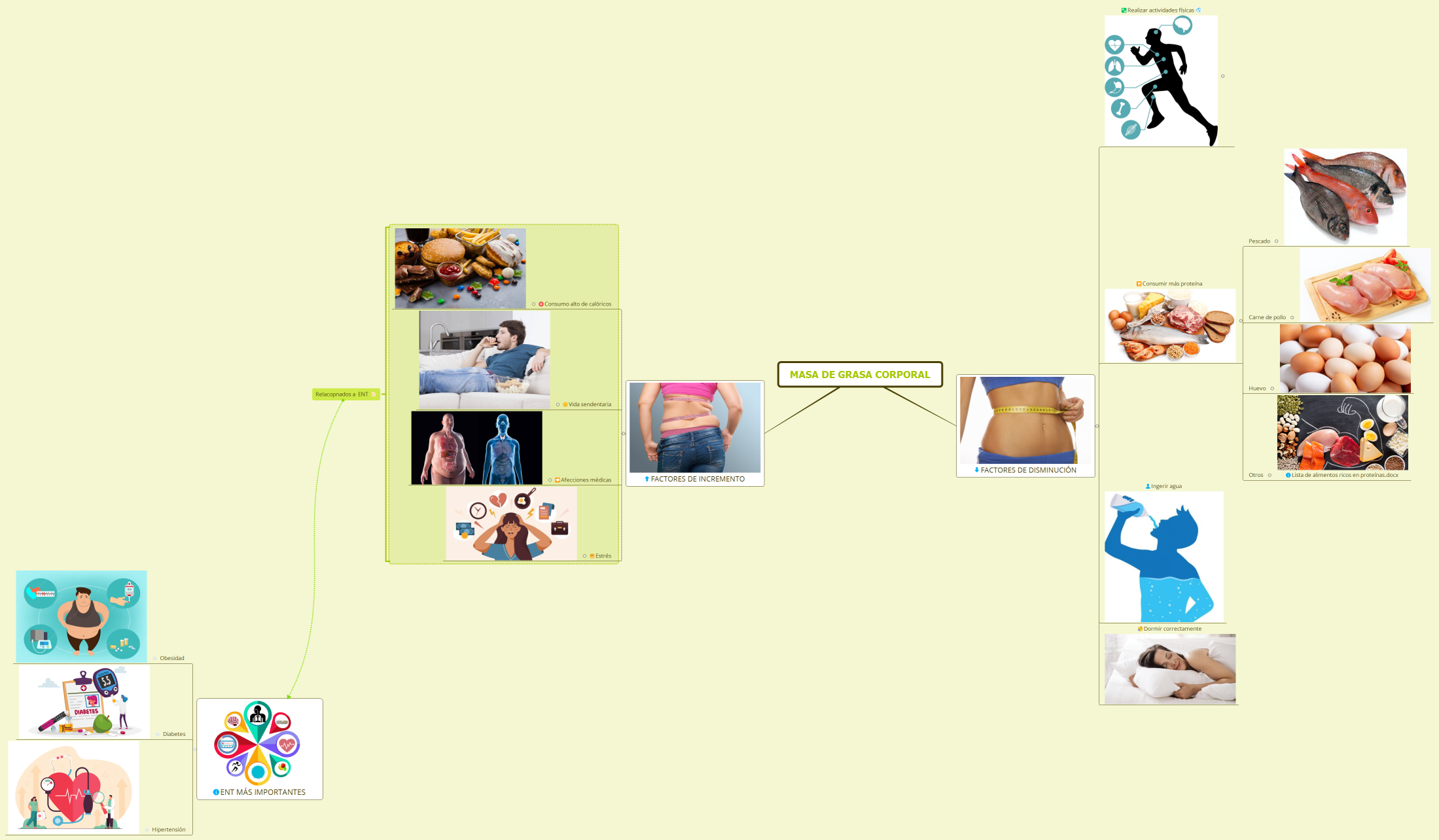 Masa de grasa corporal