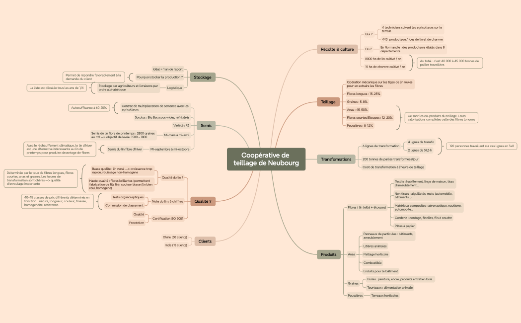 Carte mentale de logique