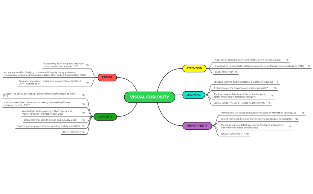 VISUAL CURIOSITY