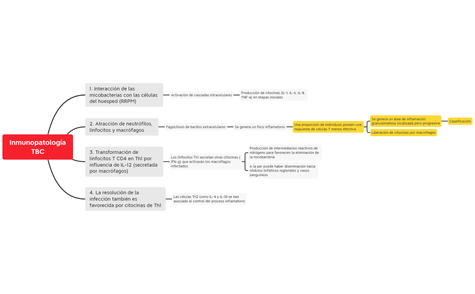 Inmunopatología TBC