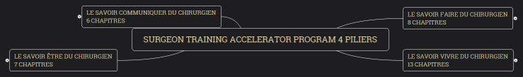 Surgeon Training Accelerator Program 4 piliers