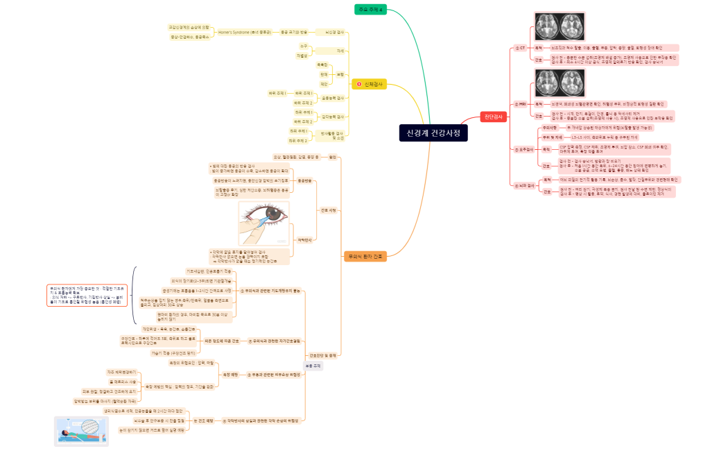 신경계 건강사정