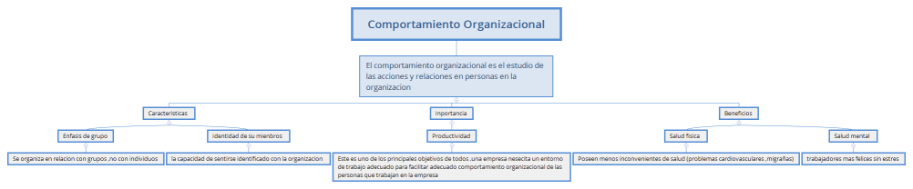 Comportamiento Organizacional