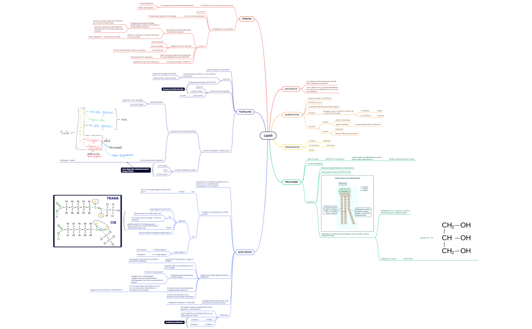 Le macromolecole mio