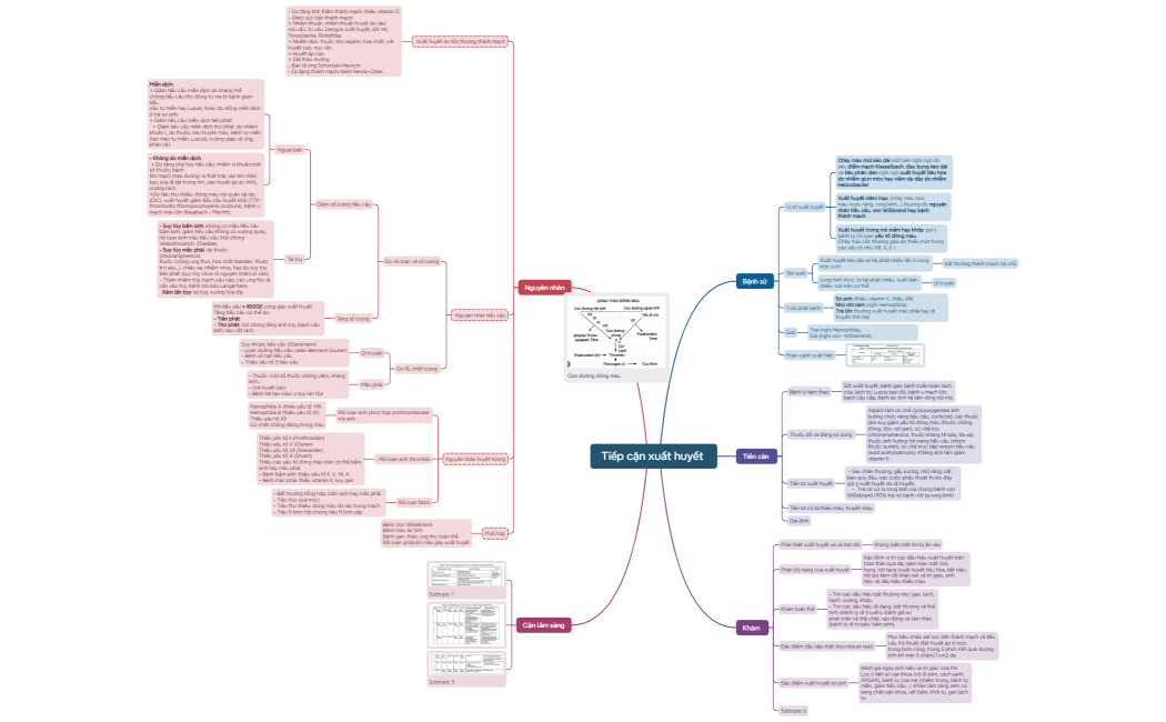 Mind Map