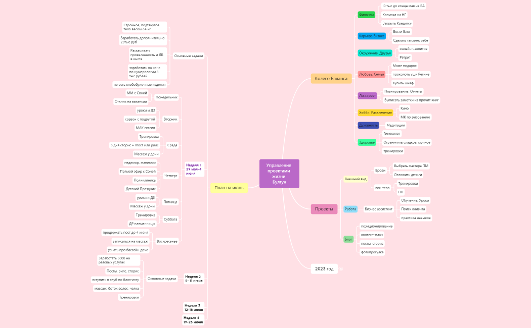 Управление проектами жизни Булгун 1