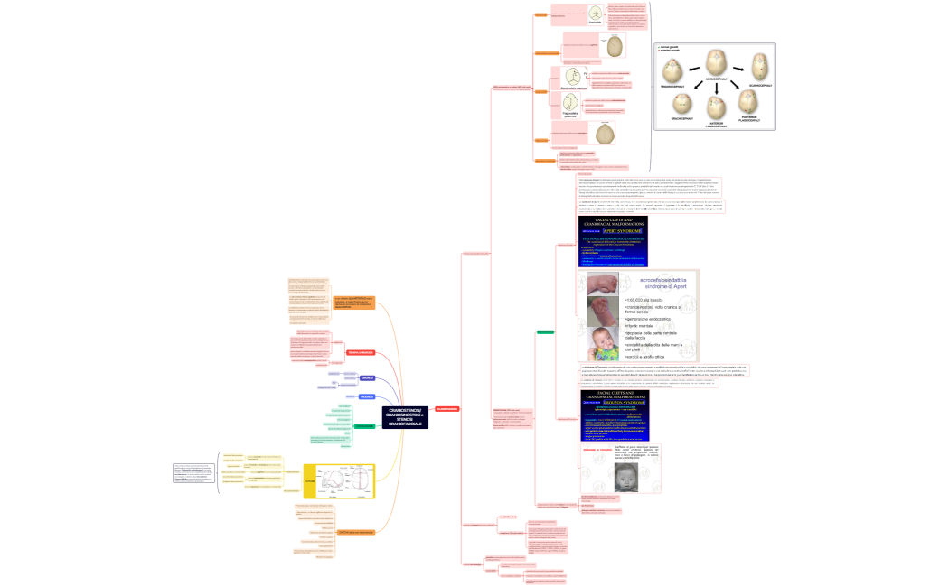 CRANIOSTENOSICRANIOSINOSTOSI e STENOSI CRANIOFACCIALE