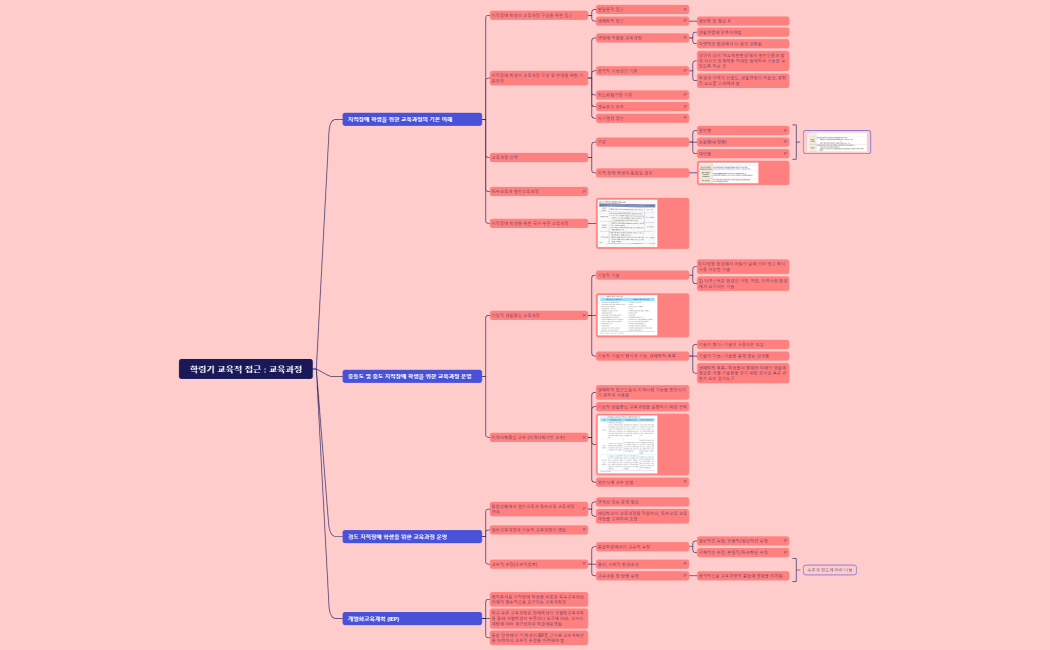학령기 교육적 접근  교육과정