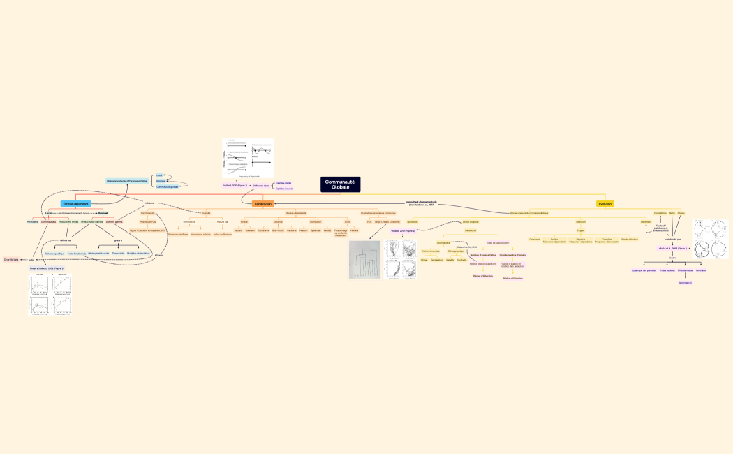 Mind Map